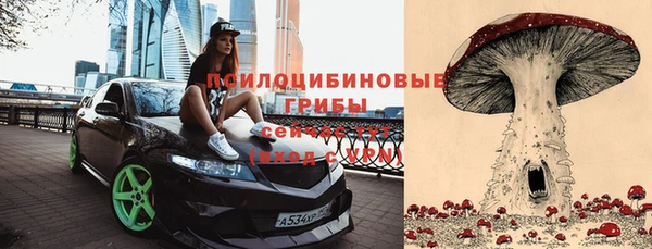 ALPHA-PVP Остров