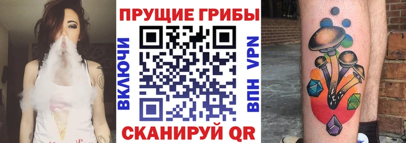 Галлюциногенные грибы Cubensis  гидра как зайти  Ветлуга 